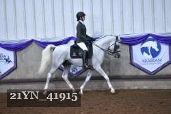 21YN_41915 thumbnail