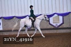 21YN_41916 thumbnail