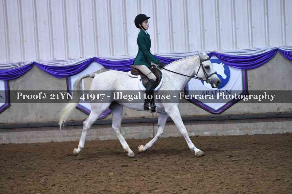 Proof Number 21YN_41917