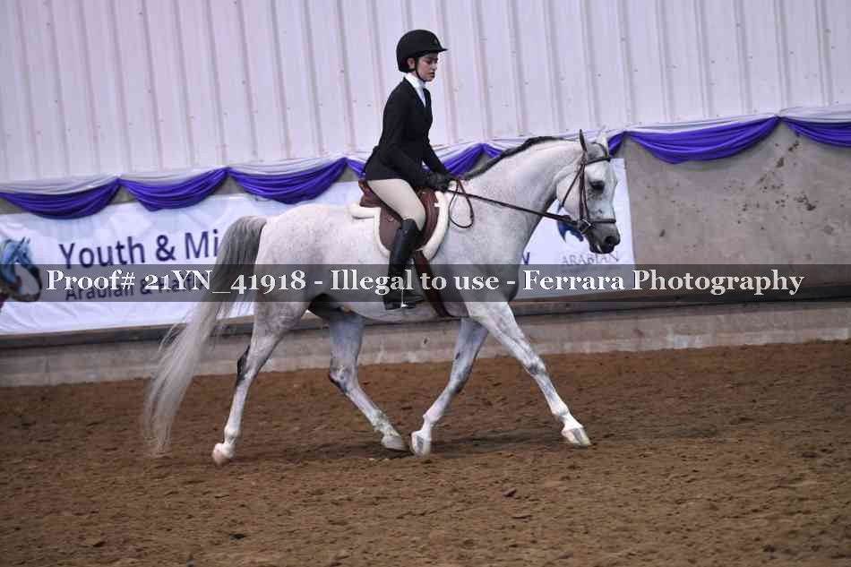 Proof Number 21YN_41918