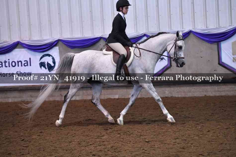 Proof Number 21YN_41919