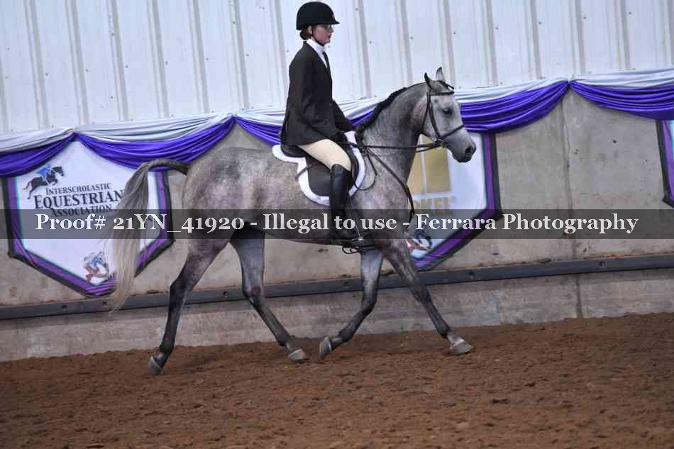 Proof Number 21YN_41920