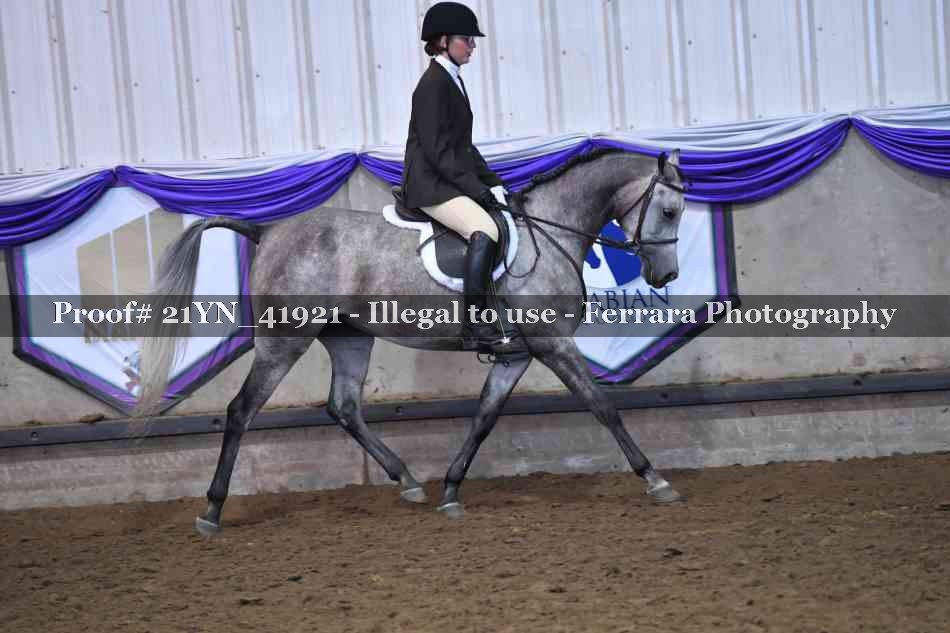 Proof Number 21YN_41921