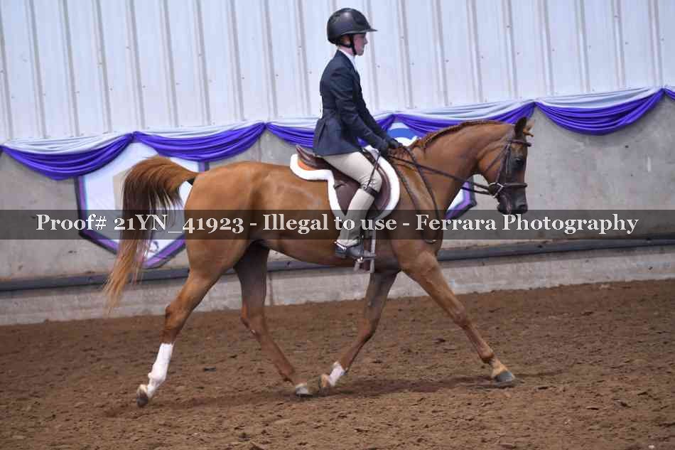 Proof Number 21YN_41923