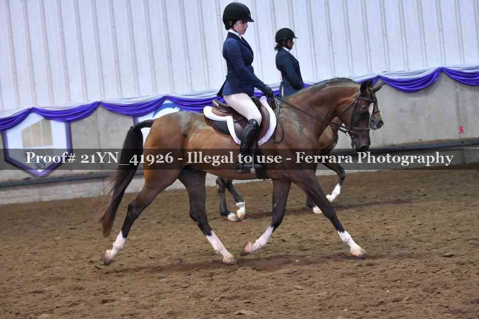 Proof Number 21YN_41926