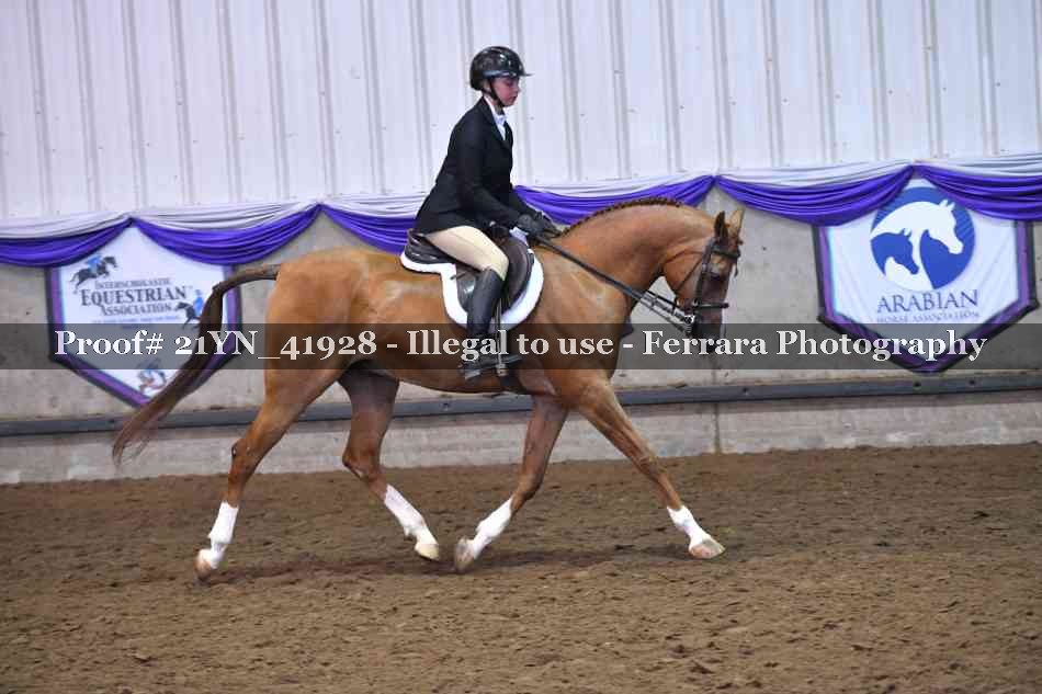 Proof Number 21YN_41928