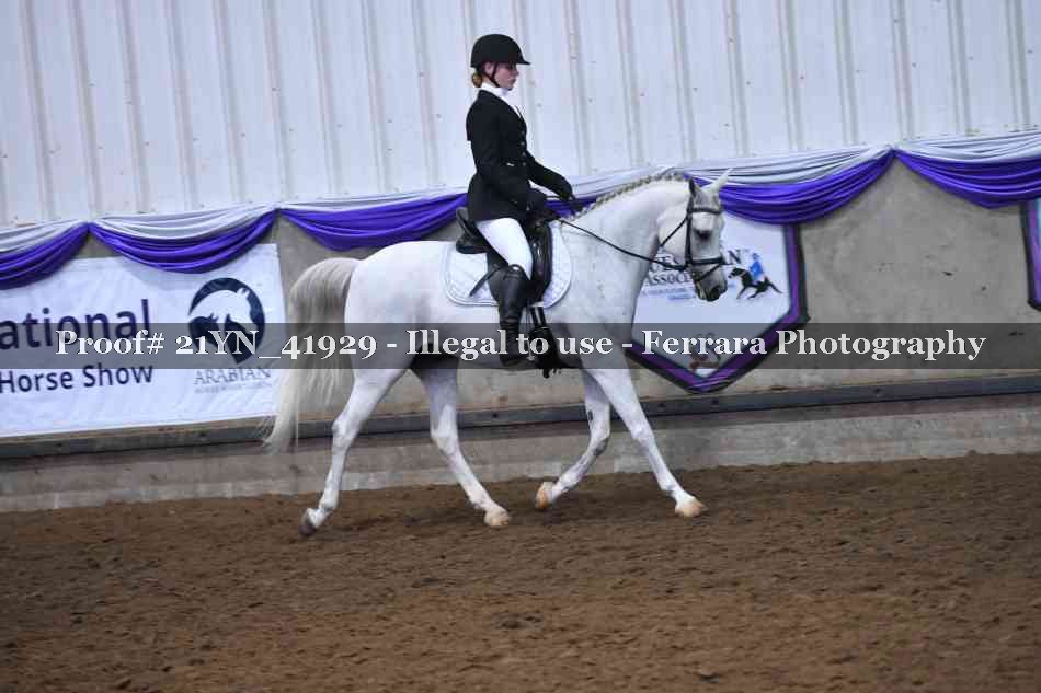 Proof Number 21YN_41929