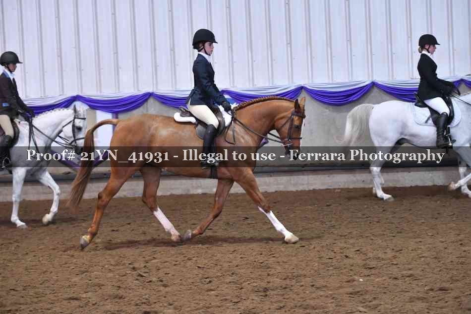 Proof Number 21YN_41931