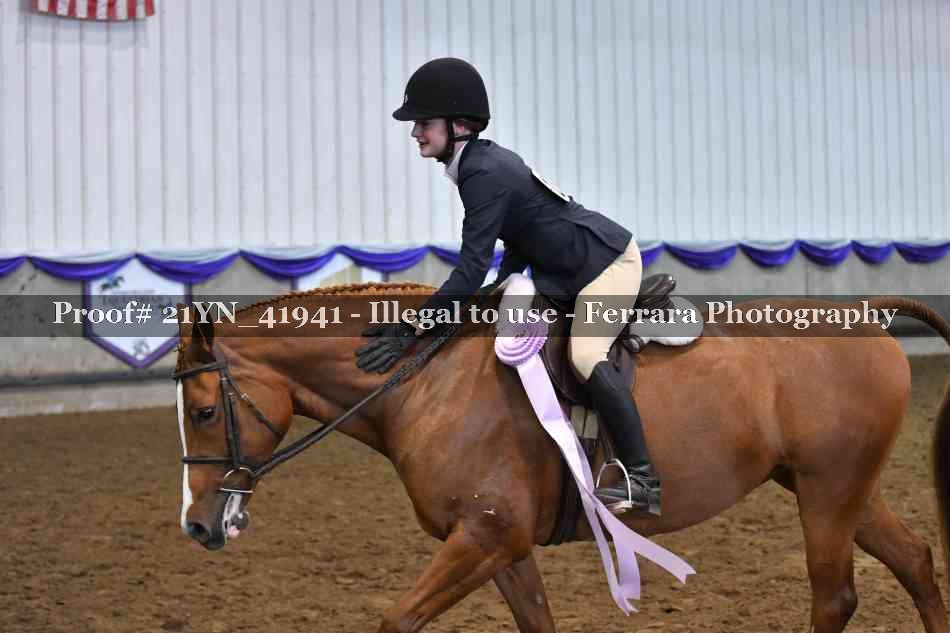 Proof Number 21YN_41941