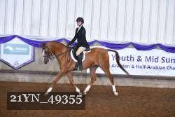 21YN_49355 thumbnail