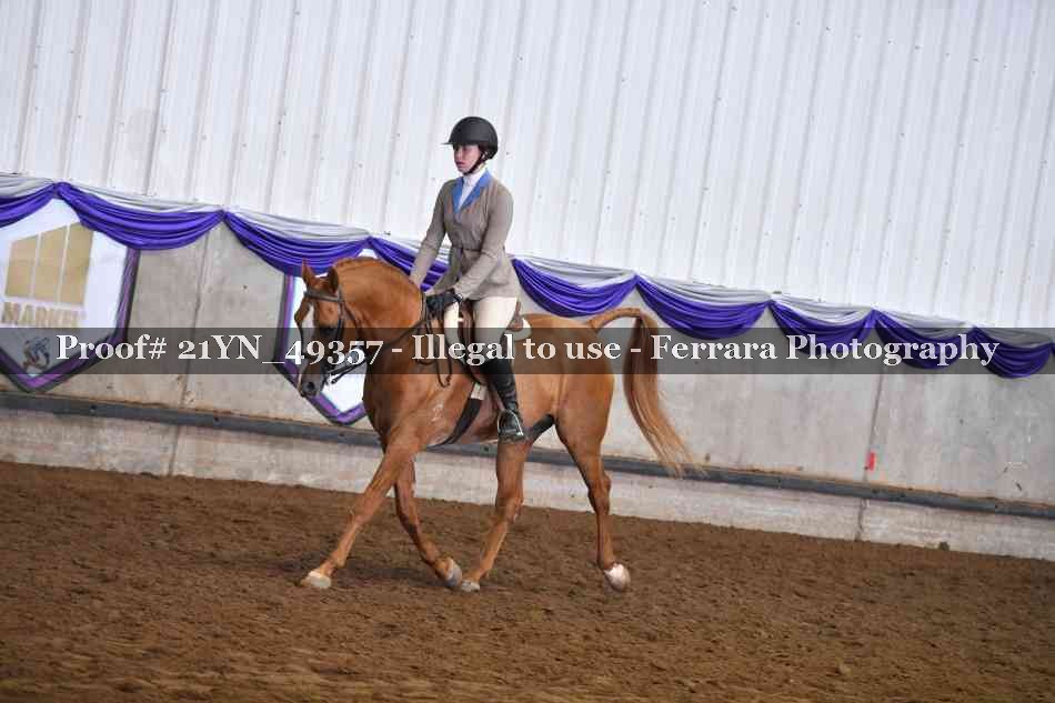 Proof Number 21YN_49357