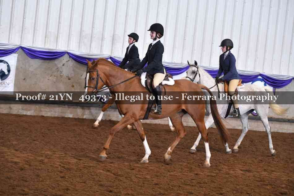 Proof Number 21YN_49373
