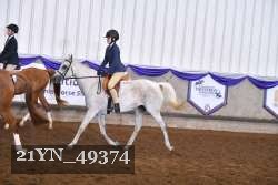 21YN_49374 thumbnail
