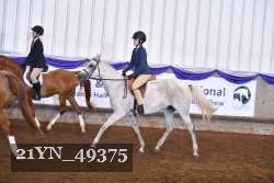 21YN_49375 thumbnail