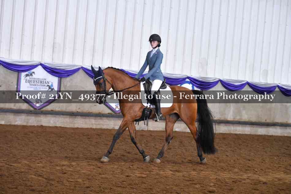 Proof Number 21YN_49377