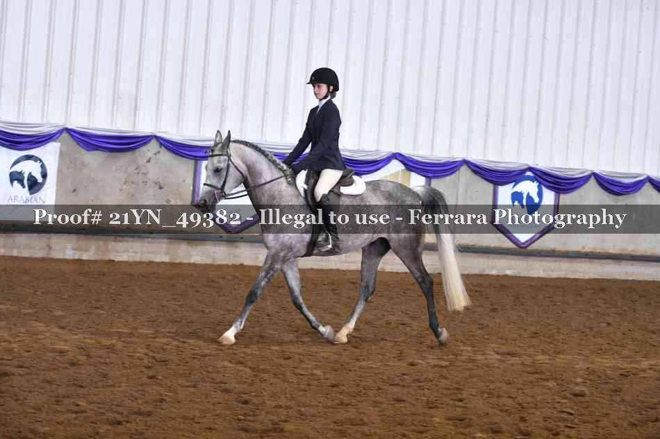 Proof Number 21YN_49382