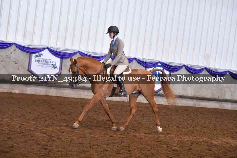 Proof Number 21YN_49384