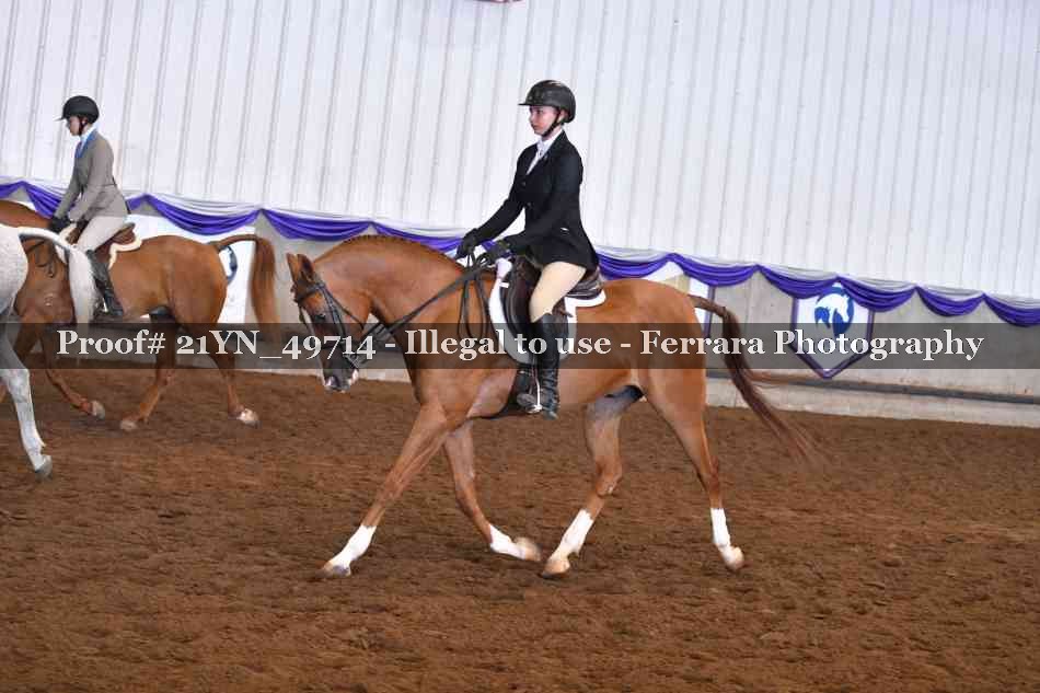 Proof Number 21YN_49714