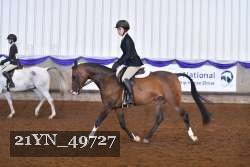 21YN_49727 thumbnail