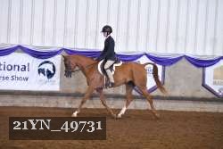 21YN_49731 thumbnail