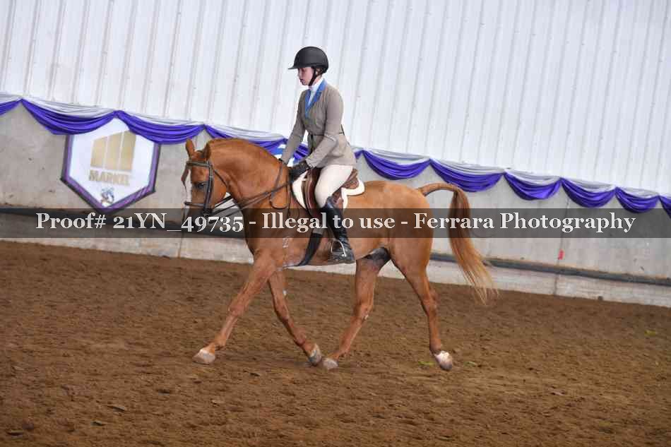 Proof Number 21YN_49735