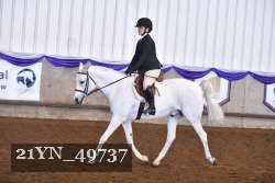 21YN_49737 thumbnail