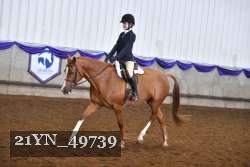 21YN_49739 thumbnail
