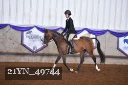 21YN_49744 thumbnail