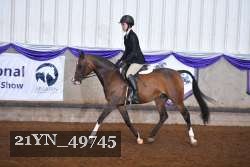21YN_49745 thumbnail