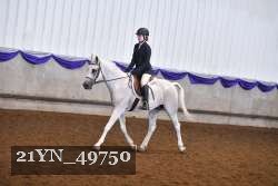 21YN_49750 thumbnail