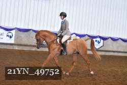 21YN_49752 thumbnail