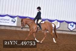 21YN_49753 thumbnail