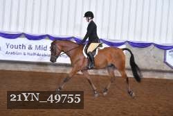 21YN_49755 thumbnail
