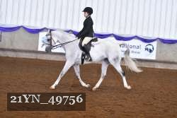 21YN_49756 thumbnail