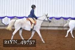 21YN_49757 thumbnail