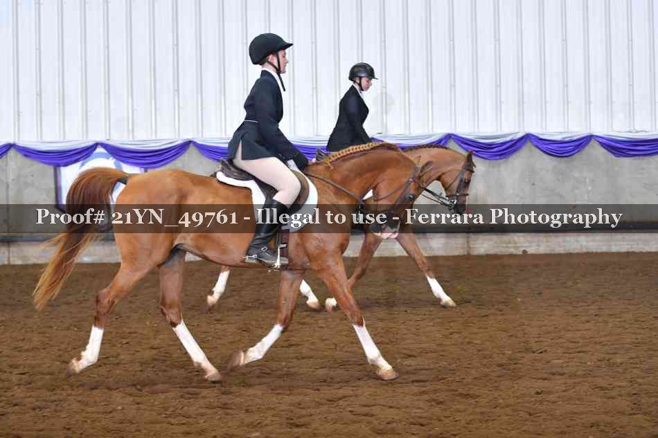Proof Number 21YN_49761