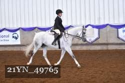21YN_49765 thumbnail