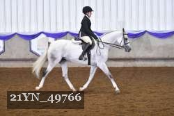 21YN_49766 thumbnail