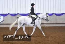 21YN_49767 thumbnail