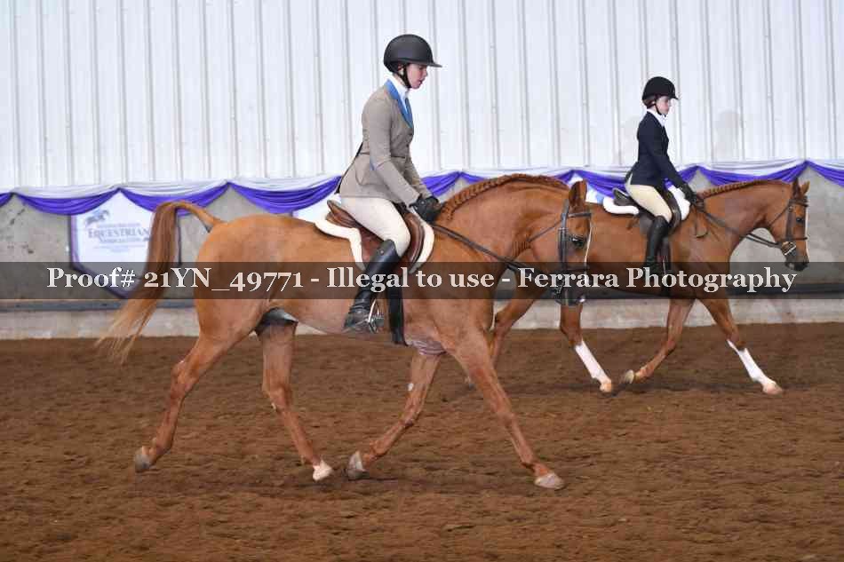 Proof Number 21YN_49771