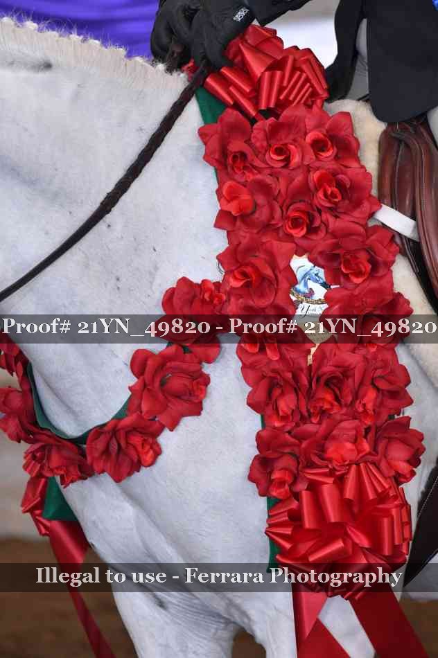 Proof Number 21YN_49820