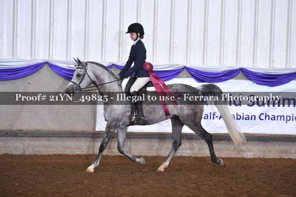 Proof Number 21YN_49825
