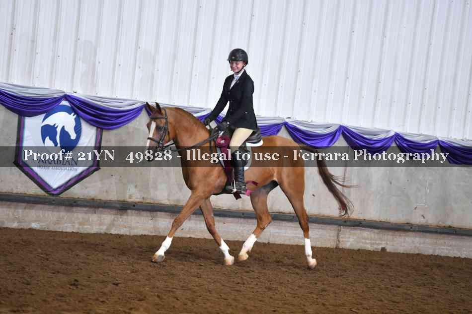 Proof Number 21YN_49828
