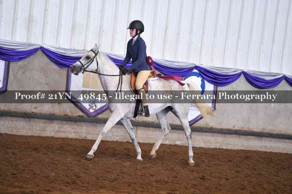 Proof Number 21YN_49845