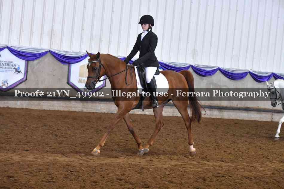 Proof Number 21YN_49902