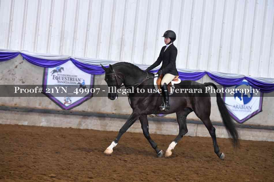 Proof Number 21YN_49907