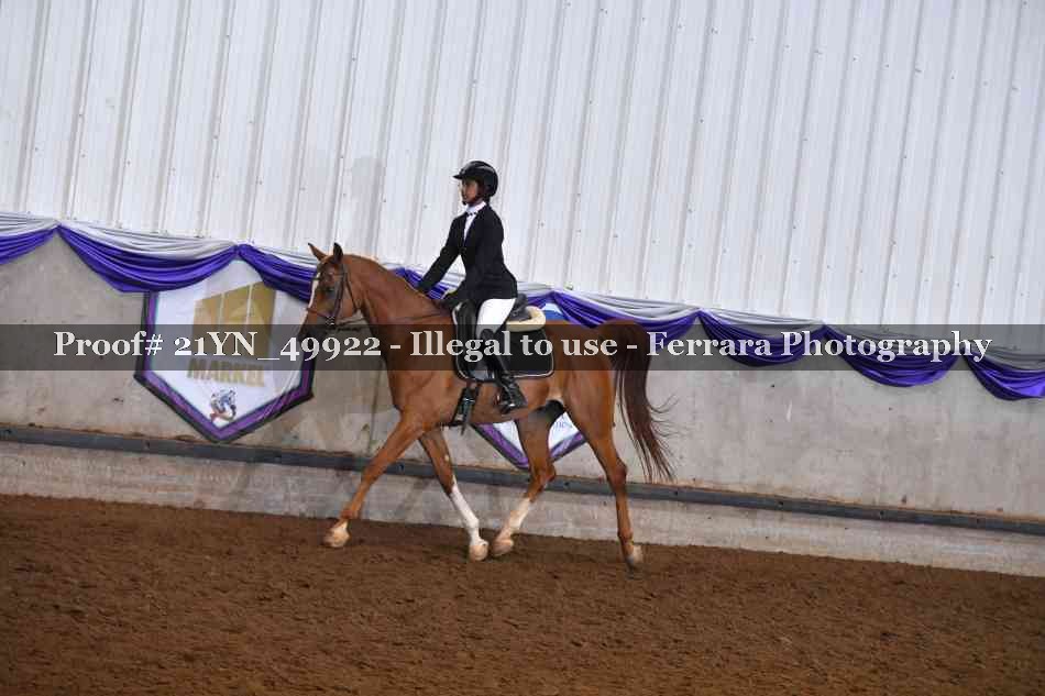 Proof Number 21YN_49922