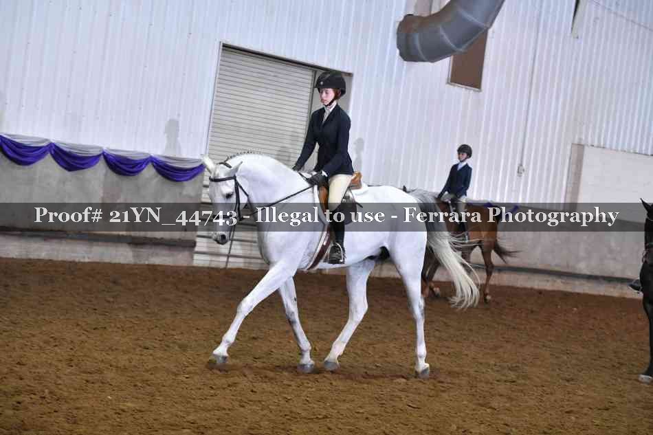 Proof Number 21YN_44743