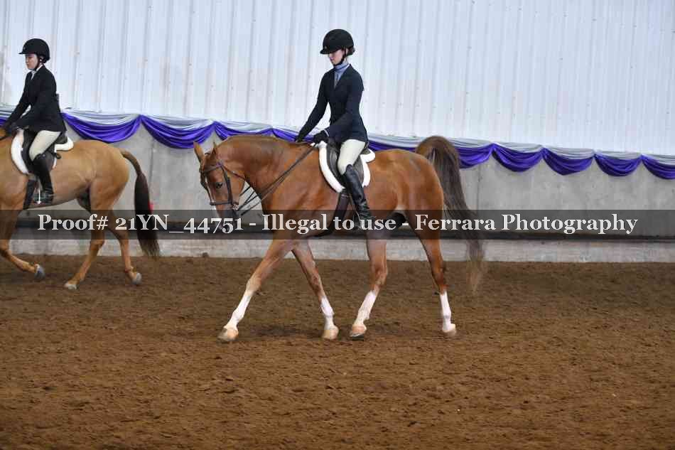Proof Number 21YN_44751