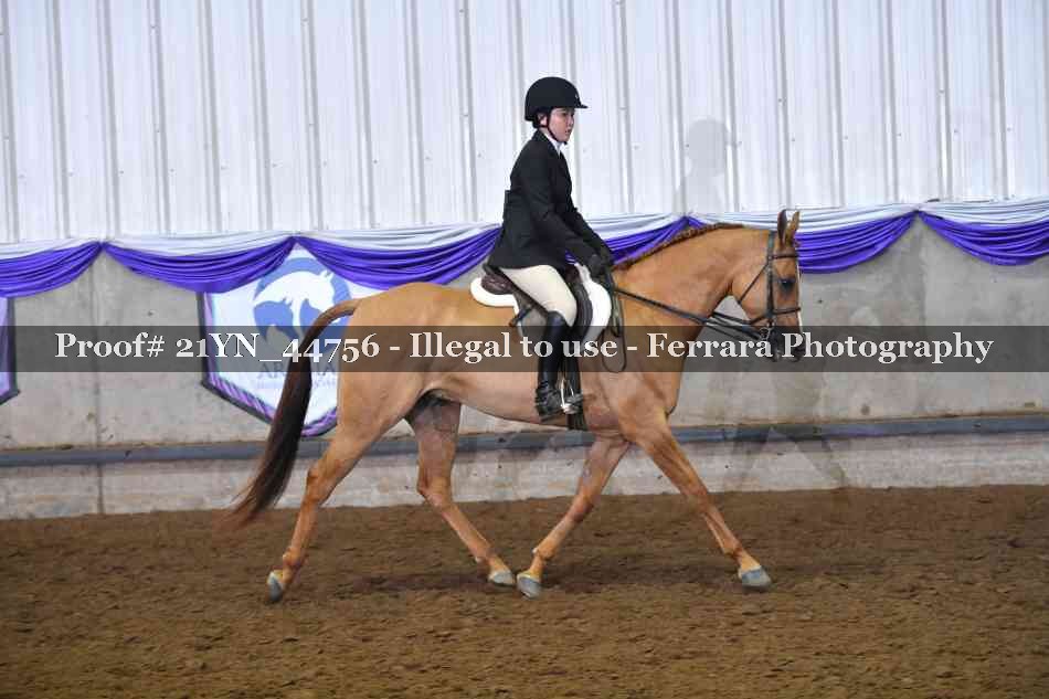 Proof Number 21YN_44756